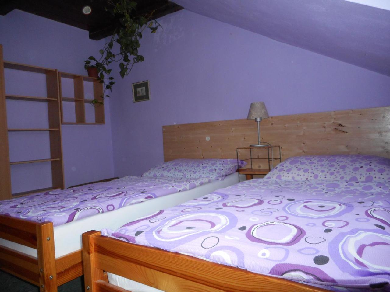 Penzion U Lesa Ceske Budejovice Buitenkant foto